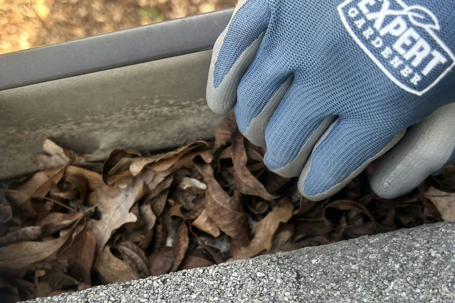 Grandview Gutter Cleaning