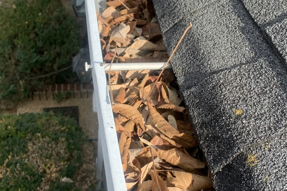 Grandview Gutter Cleaning